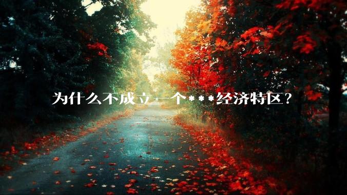 为什么不成立一个***经济特区？