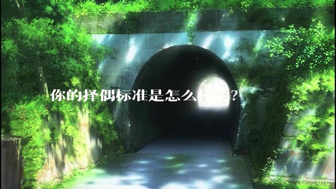 你的择偶标准是怎么样的？
