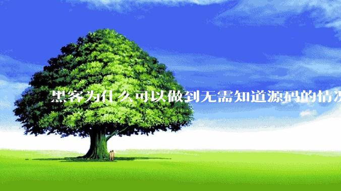 黑客为什么可以做到无需知道源码的情况下找出系统漏洞？